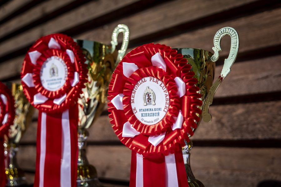 Piknik odbył się 22 września 2024r.