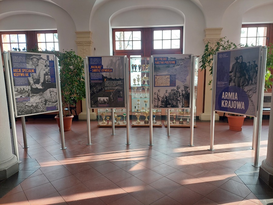 Działania edukacyjne mówiły o Armii Krajowej.